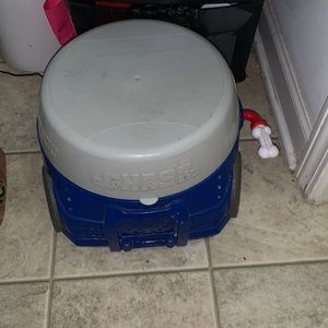 Paw patrol potty